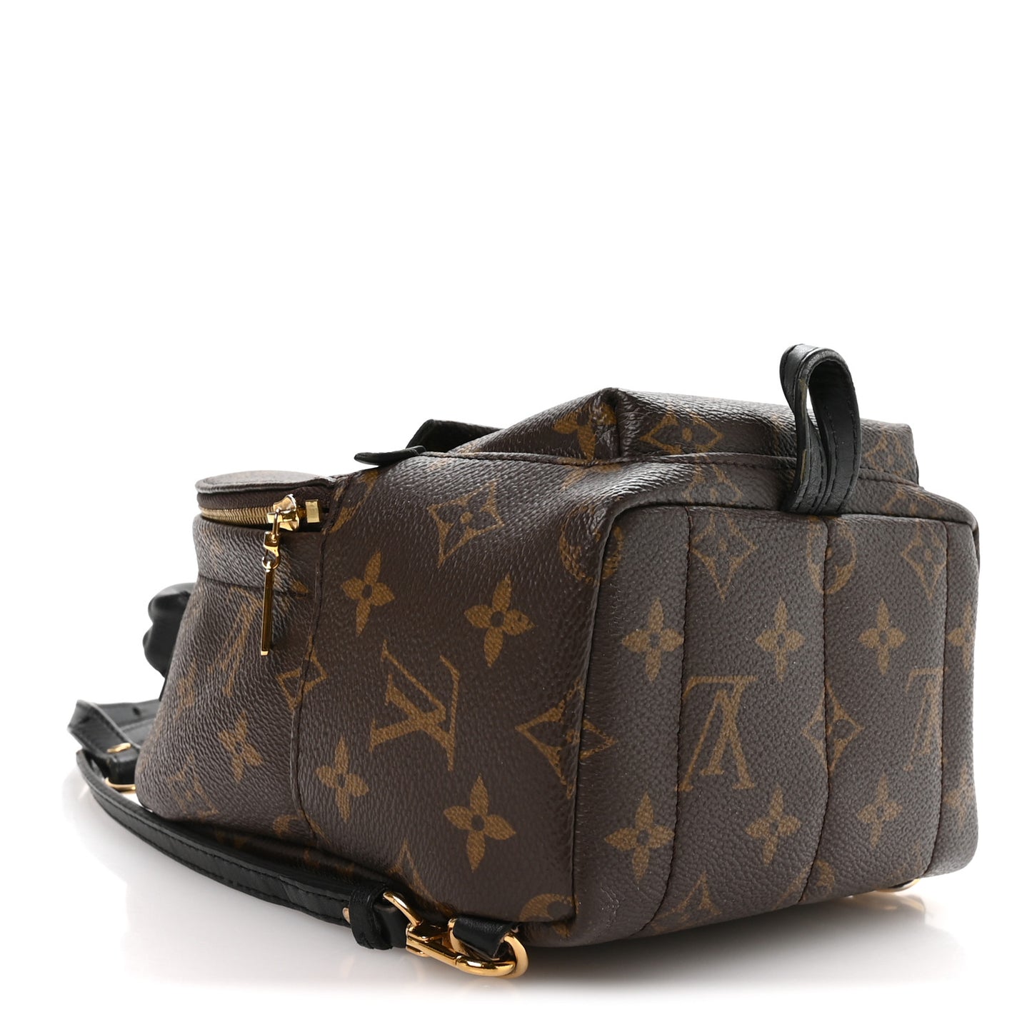 Monogram Palm Springs Backpack Mini