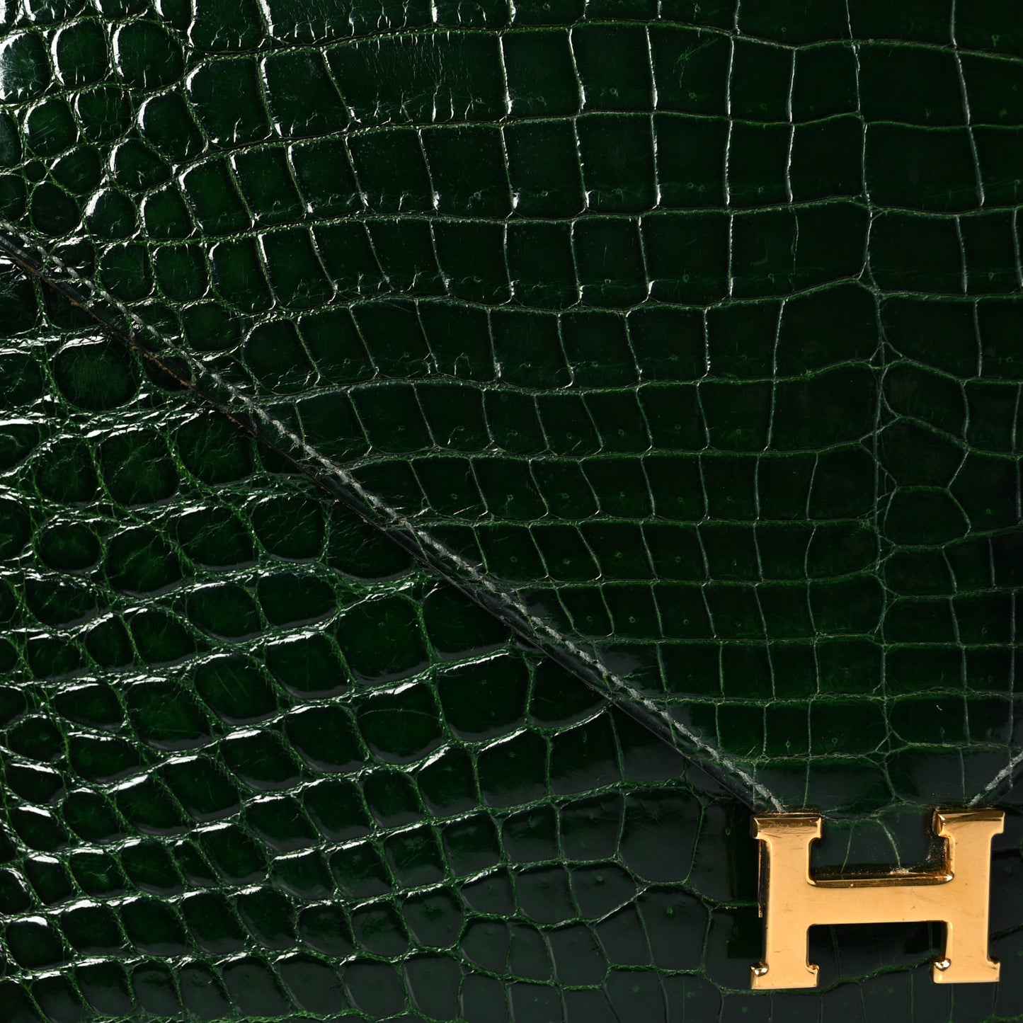 Shiny Porosus Crocodile Lydie Clutch Vert Fonce