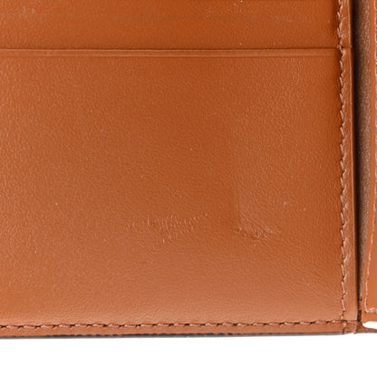 Celine Canvas Triomphe Medium Strap Wallet Tan 9 of 12