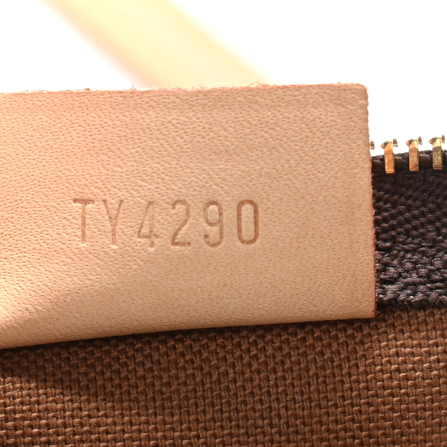Monogram Nano Speedy