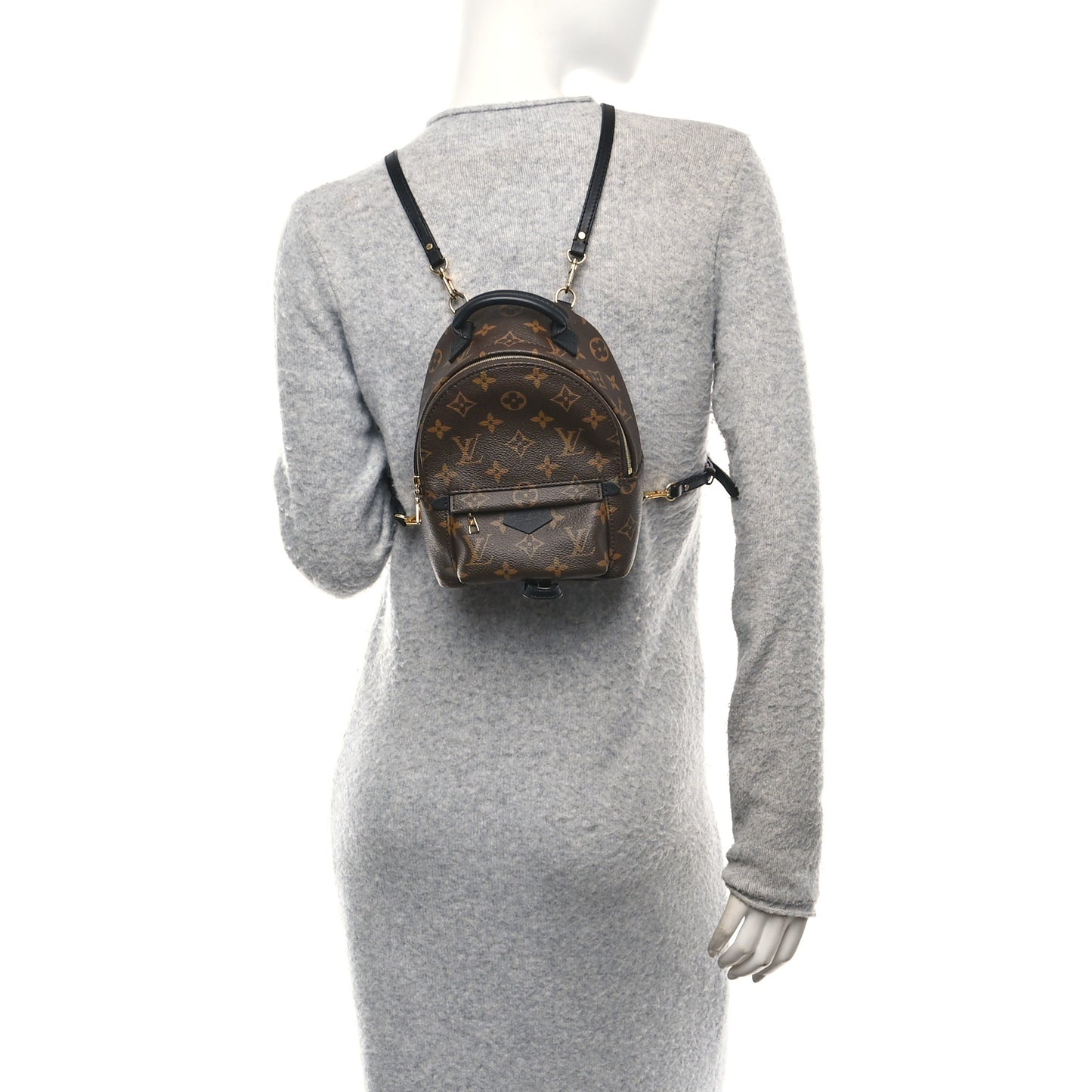 Monogram Palm Springs Backpack Mini
