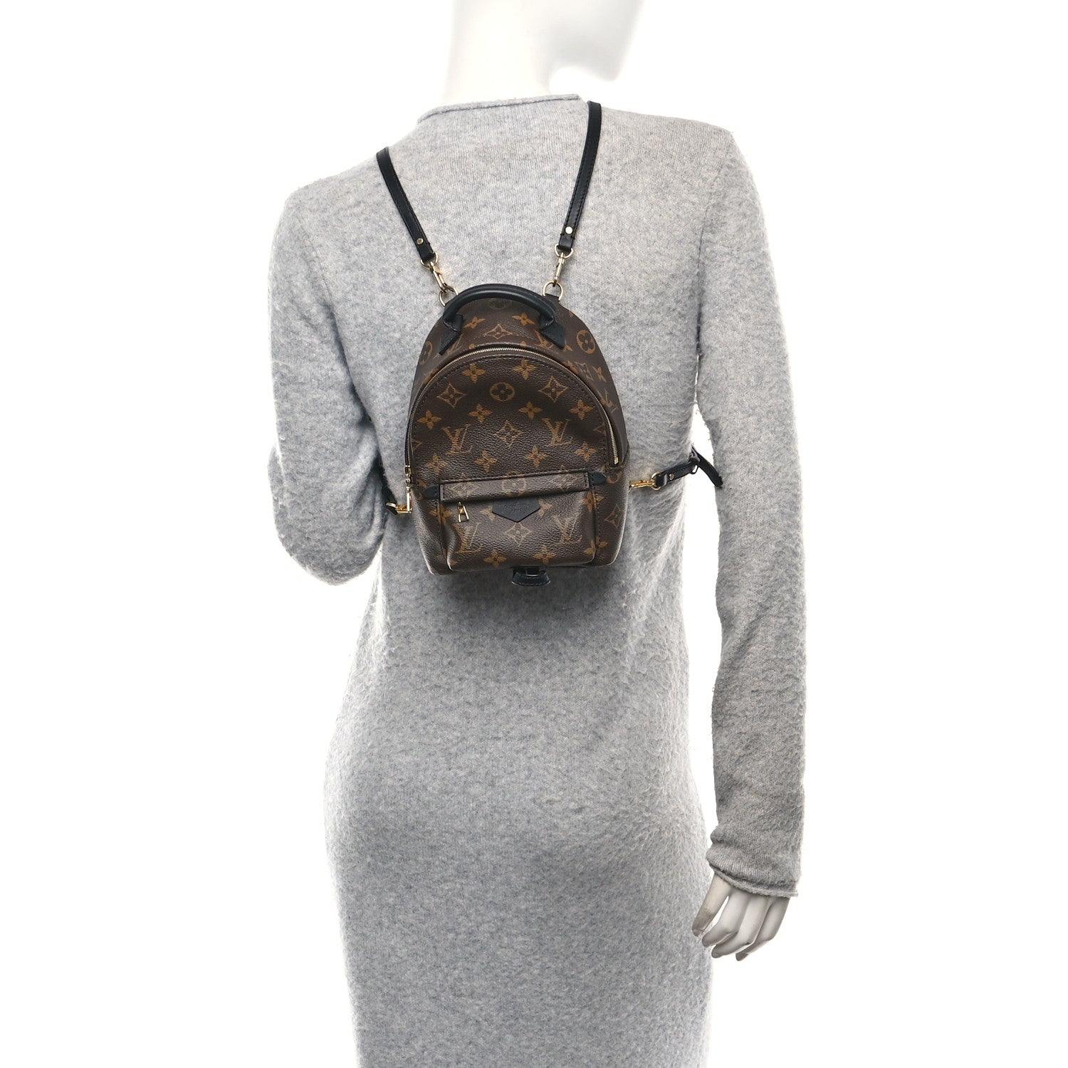 Louis Vuitton Monogram Palm Springs Backpack Mini 2 of 10