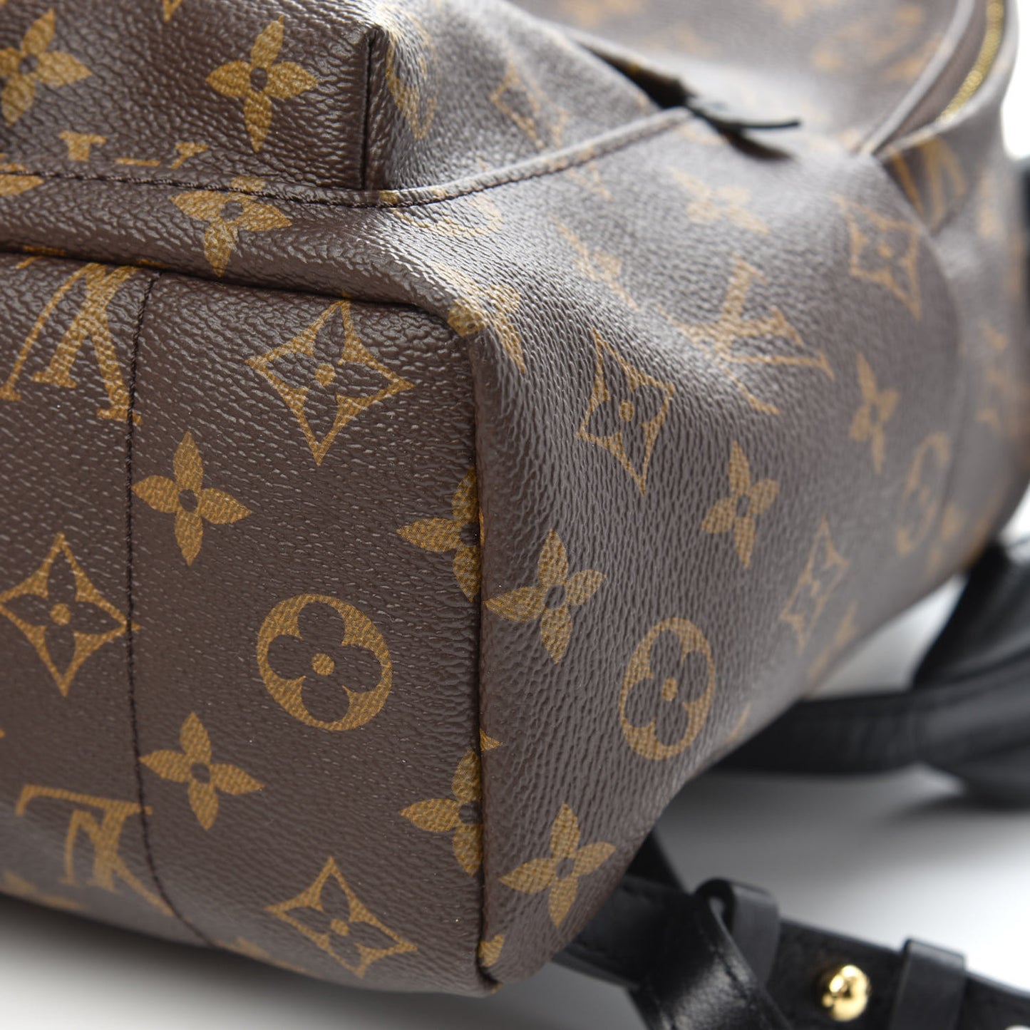 Monogram Palm Springs Backpack PM