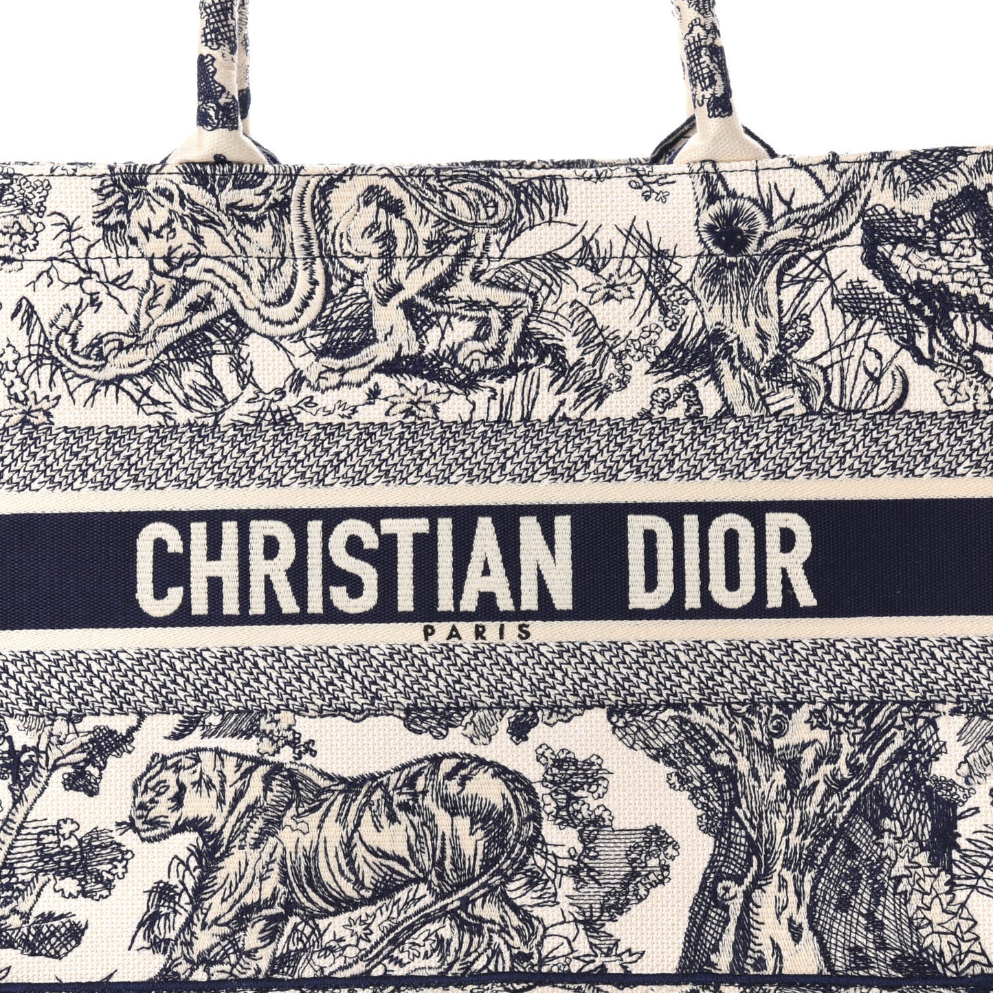 Canvas Embroidered Medium Dioriviera Toile De Jouy Book Tote Blue