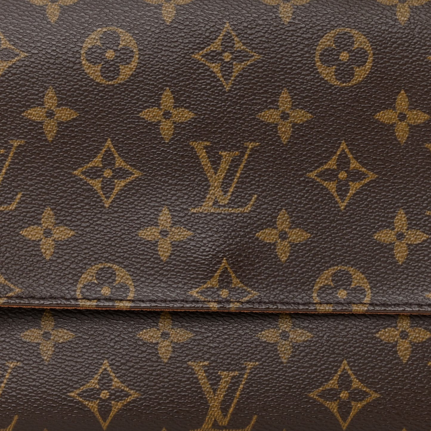 Monogram Mini Looping