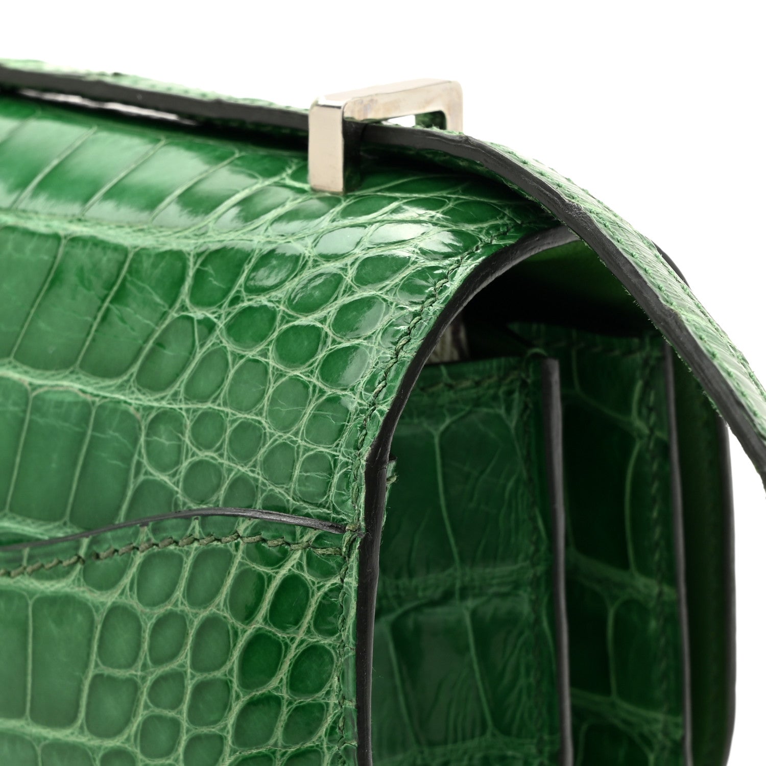 Hermes Shiny Alligator Constance 18 Cactus 12 of 13