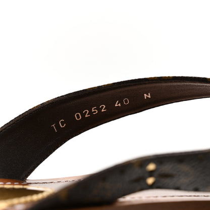 Louis Vuitton Monogram Sunny Flat Thong Sandals 40 Brown 7 of 7