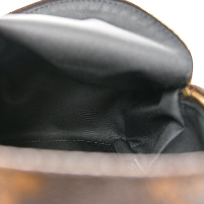Louis Vuitton Monogram Palm Springs Backpack Mini 5 of 12