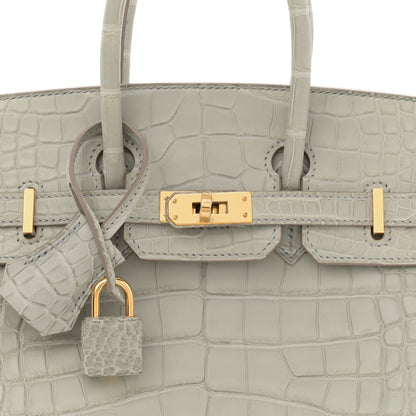 Hermes Matte Alligator Horseshoe Birkin 25 Gris Perle 8 of 11