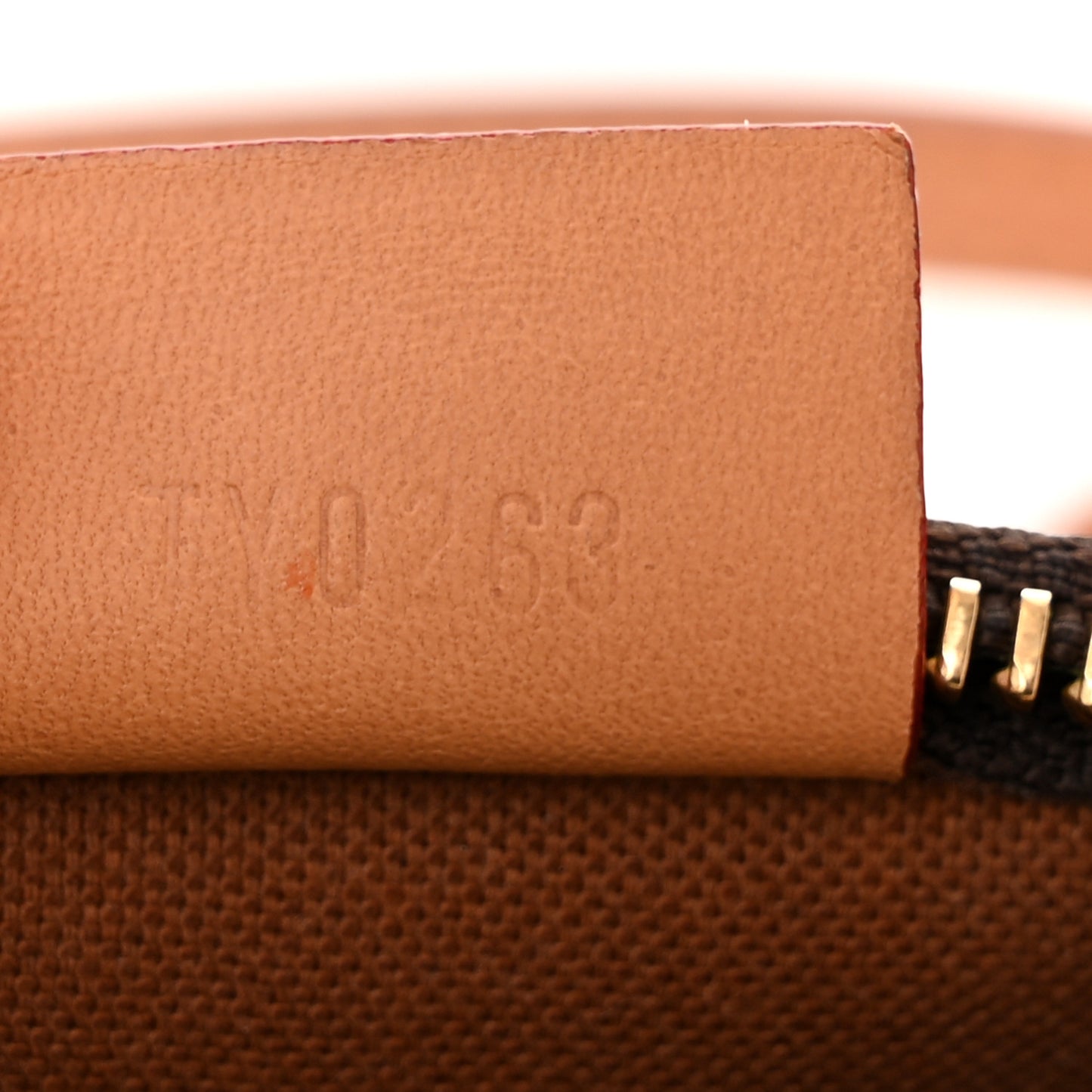 Monogram Nano Speedy Bandouliere