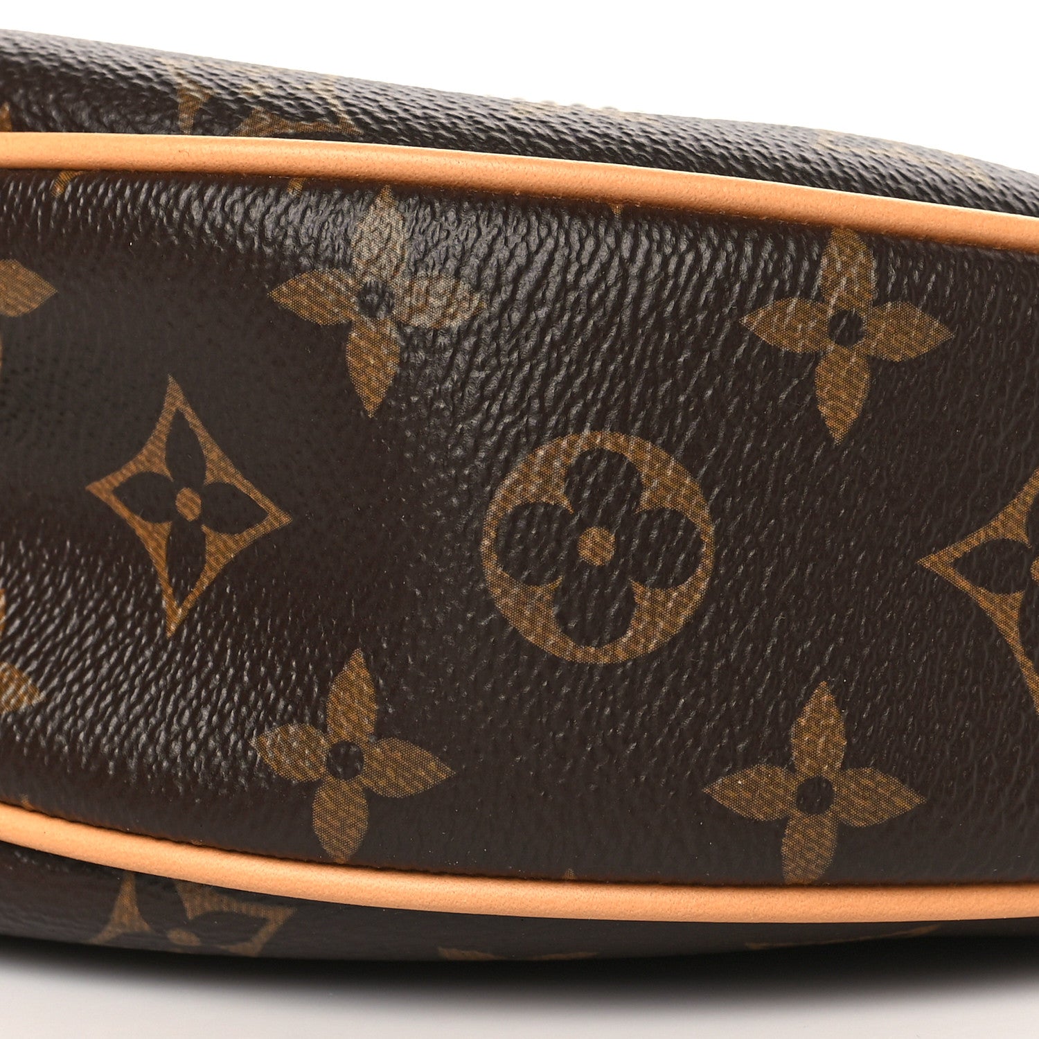 Louis Vuitton Monogram Loop 9 of 9