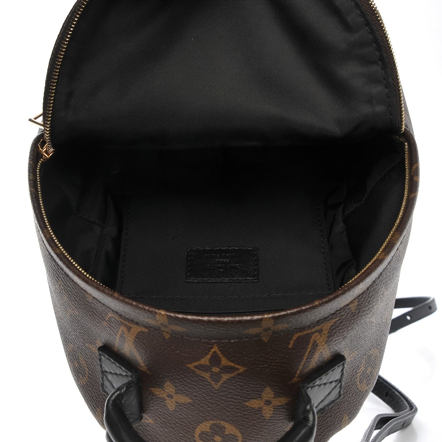 Monogram Palm Springs Backpack Mini