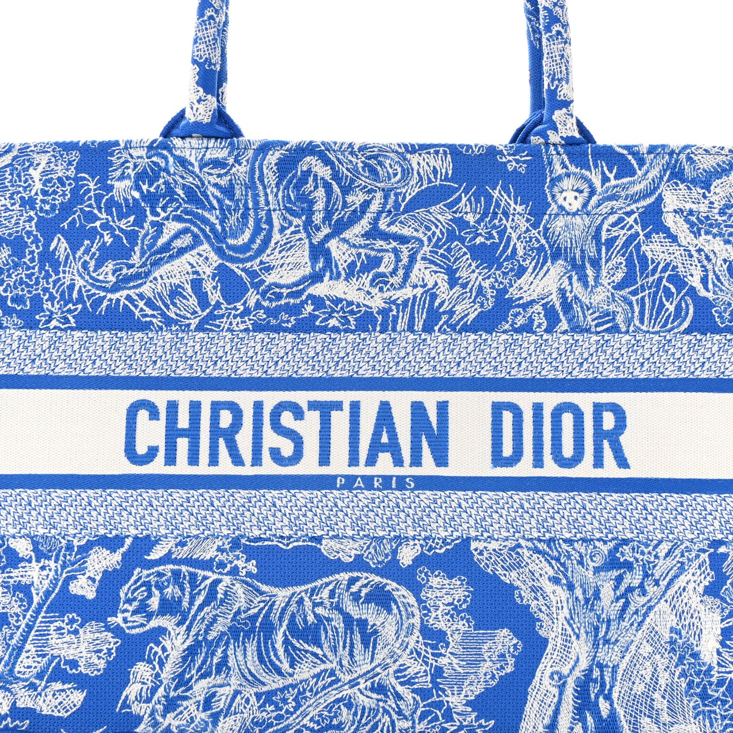 Canvas Embroidered Medium Dioriviera Toile De Jouy Book Tote Fluorescent Blue
