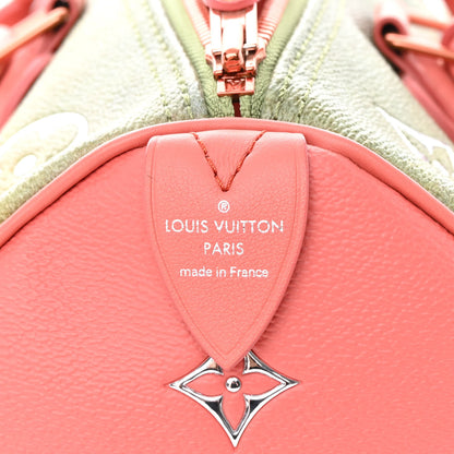 Louis Vuitton Masters Da Vinci Speedy 30 6 of 18