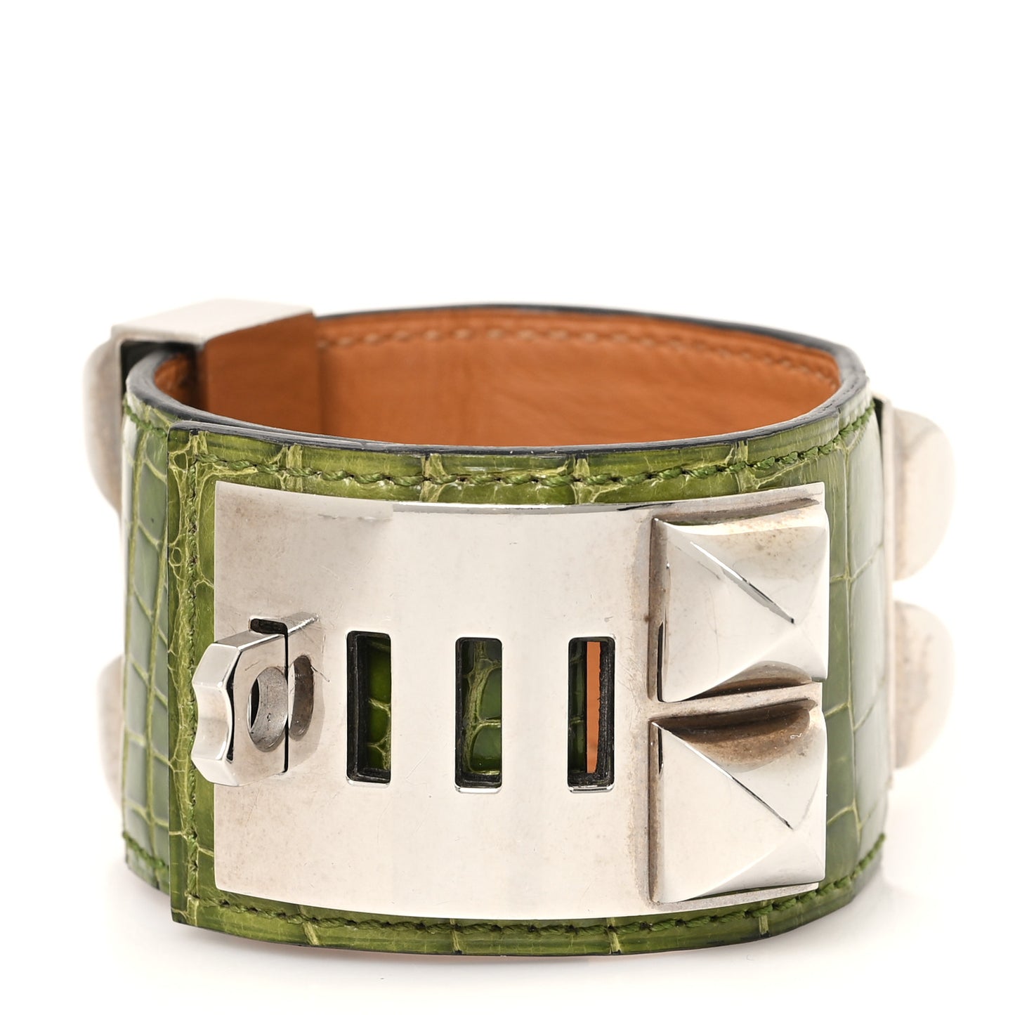 Shiny Alligator Collier De Chien CDC Bracelet Pelouse