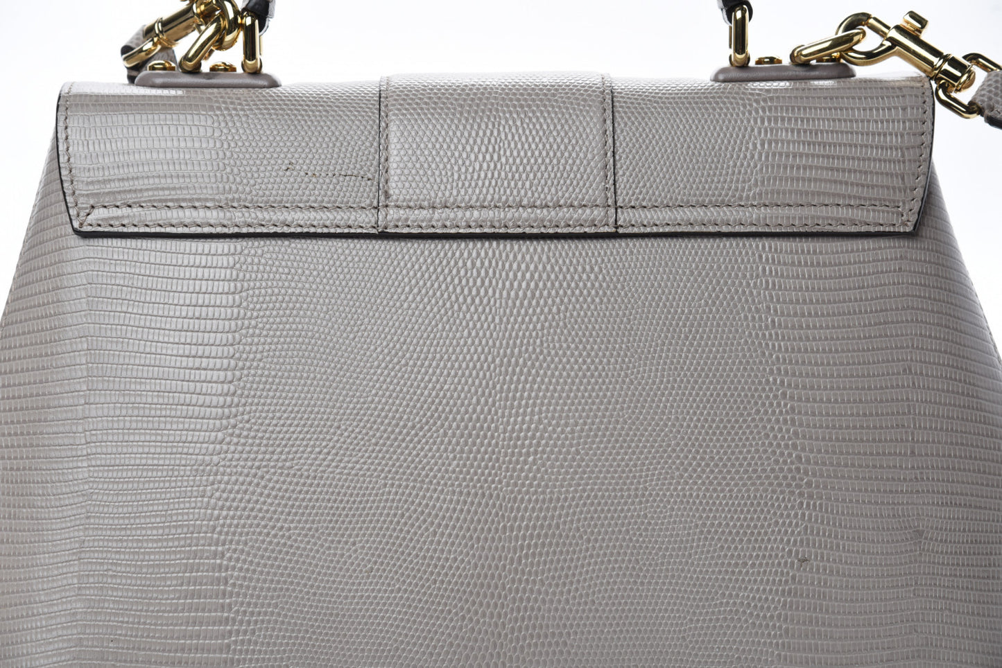 Iguana Calfskin Embossed Lucia Top Handle Bag Grey
