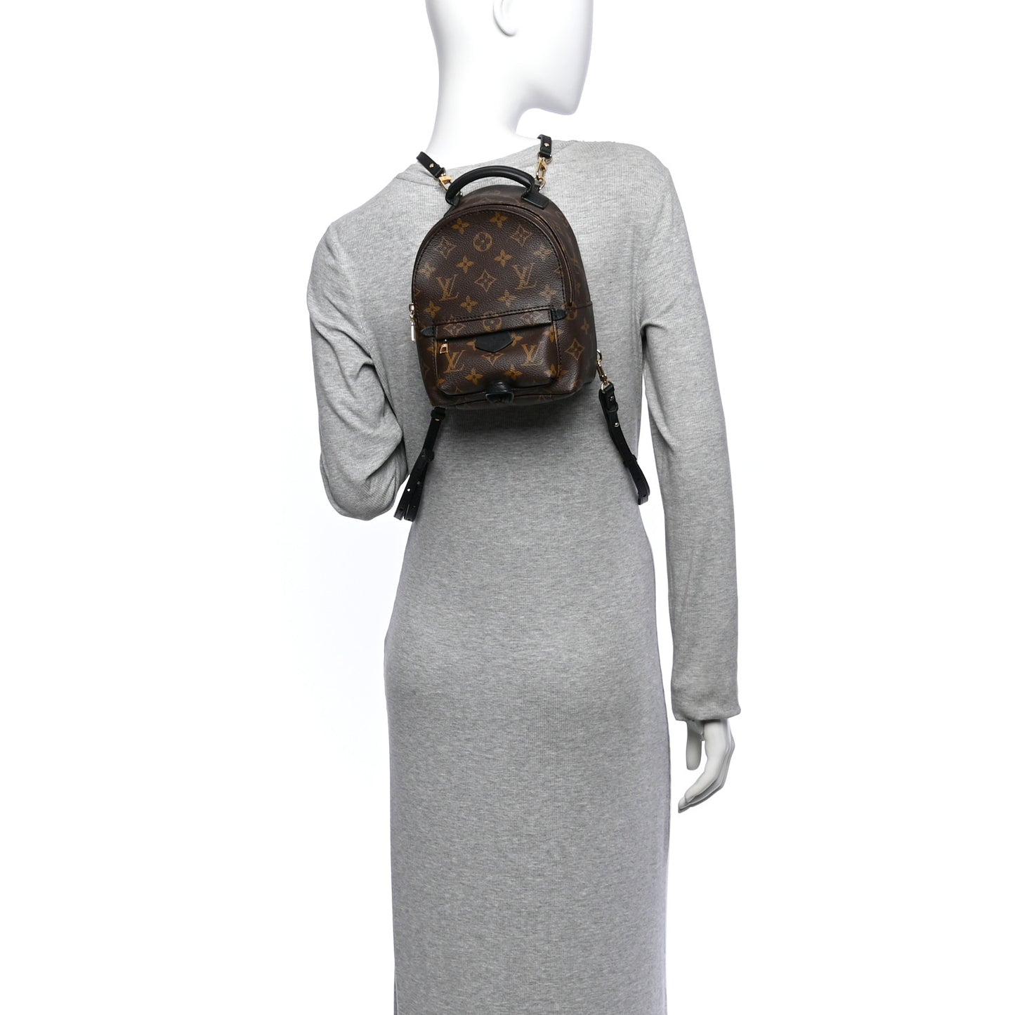 Monogram Palm Springs Backpack Mini