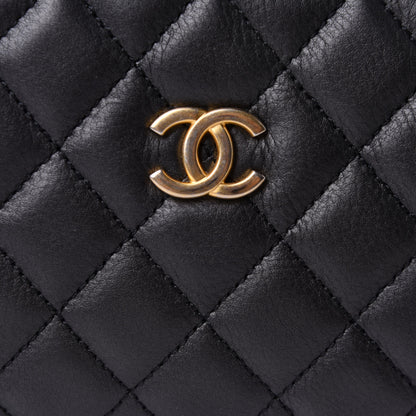 Chanel Calfskin Quilted Day Trips Camera Case Black 8 of 11