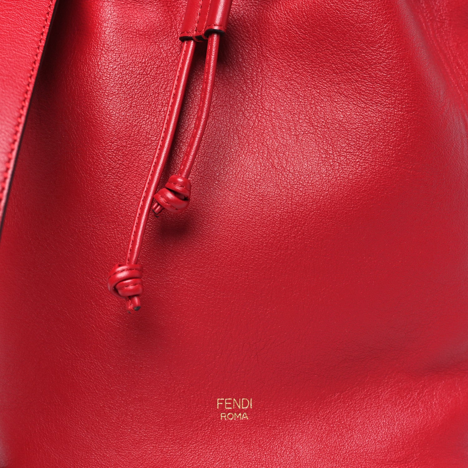 Fendi Vitello Grace Matte F is Fendi Grande Mon Tresor Bucket Bag Fragola 8 of 12