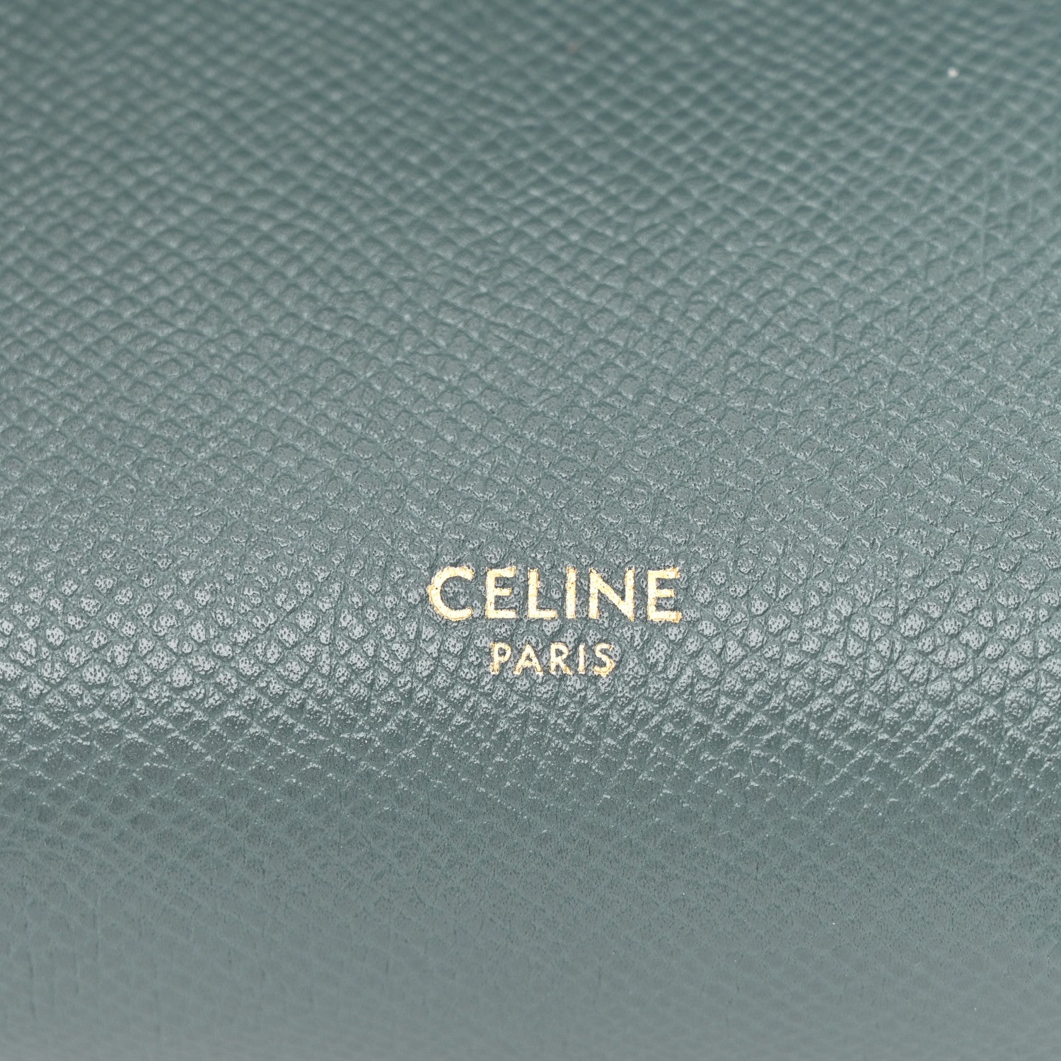 Celine Grained Calfskin Nano Belt Bag Amazone 6 of 10