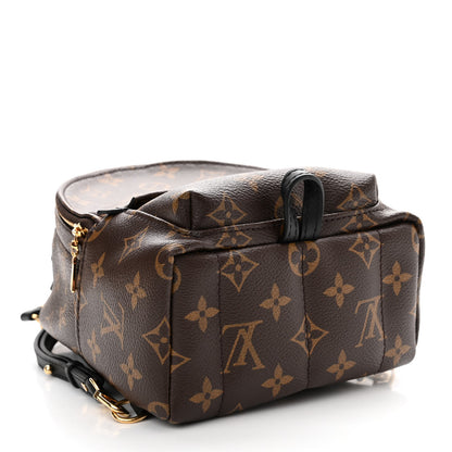 Louis Vuitton Monogram Palm Springs Backpack Mini 4 of 14
