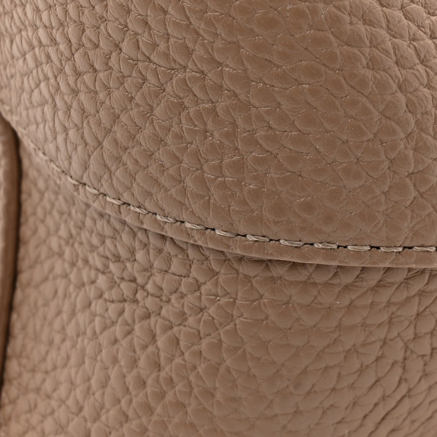 Pebbled Calfskin Small Everyday Cabas Biscotto