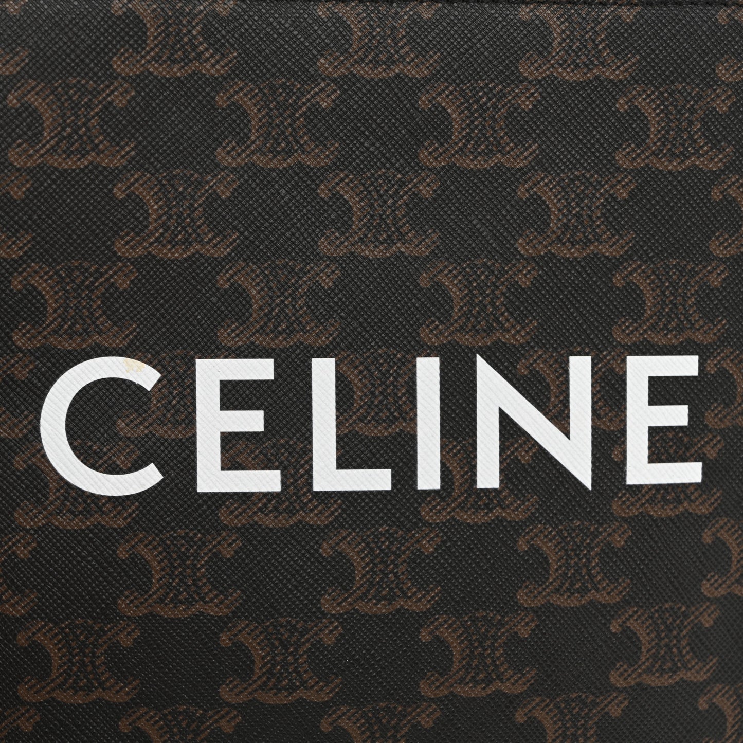 Triomphe Canvas Calfskin Mini Vertical Cabas Tan