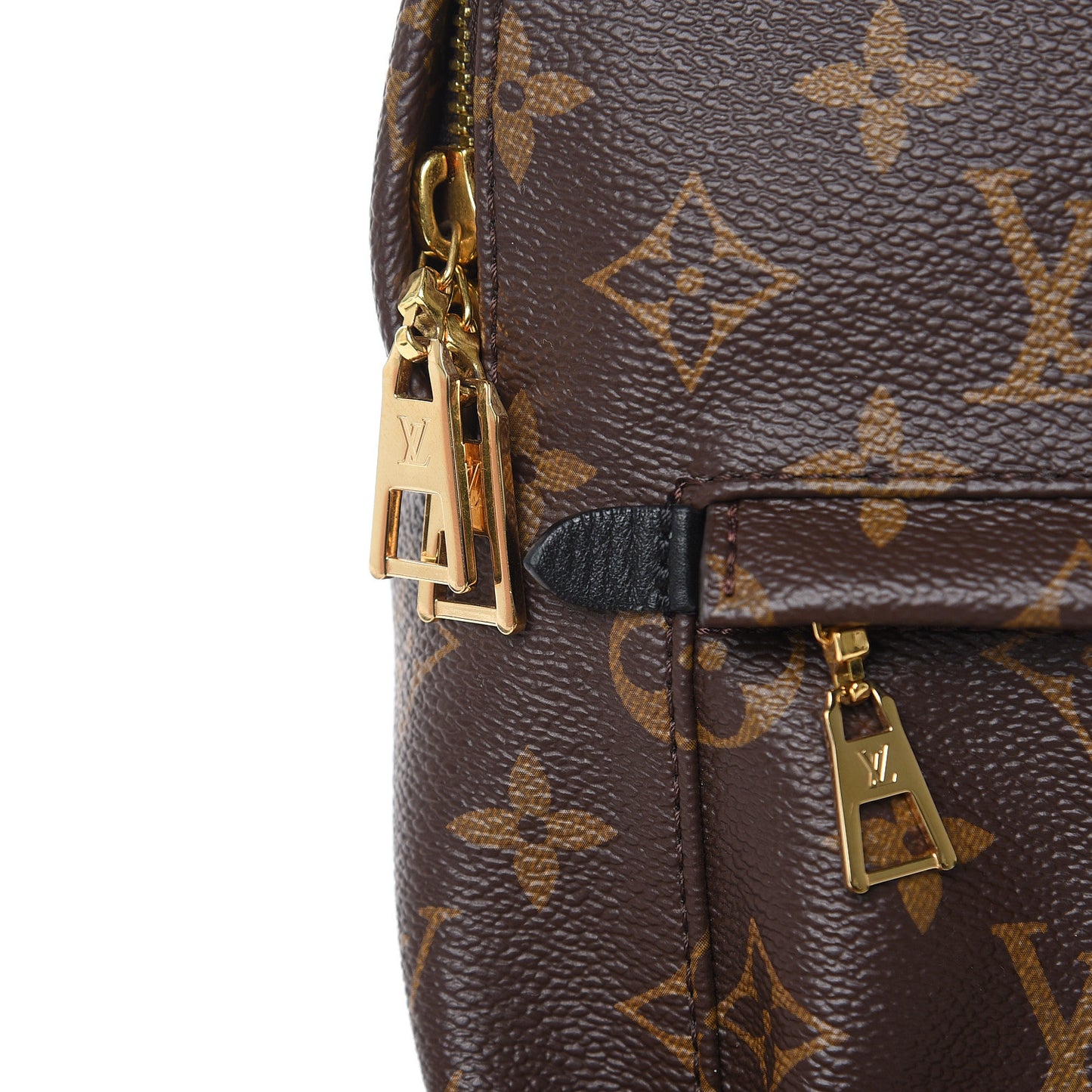 Monogram Palm Springs Backpack PM