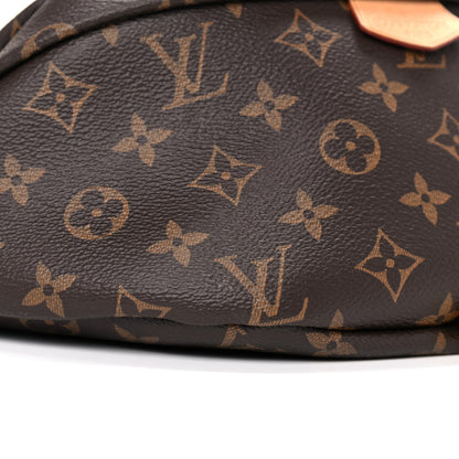 Louis Vuitton Monogram Bumbag 9 of 15