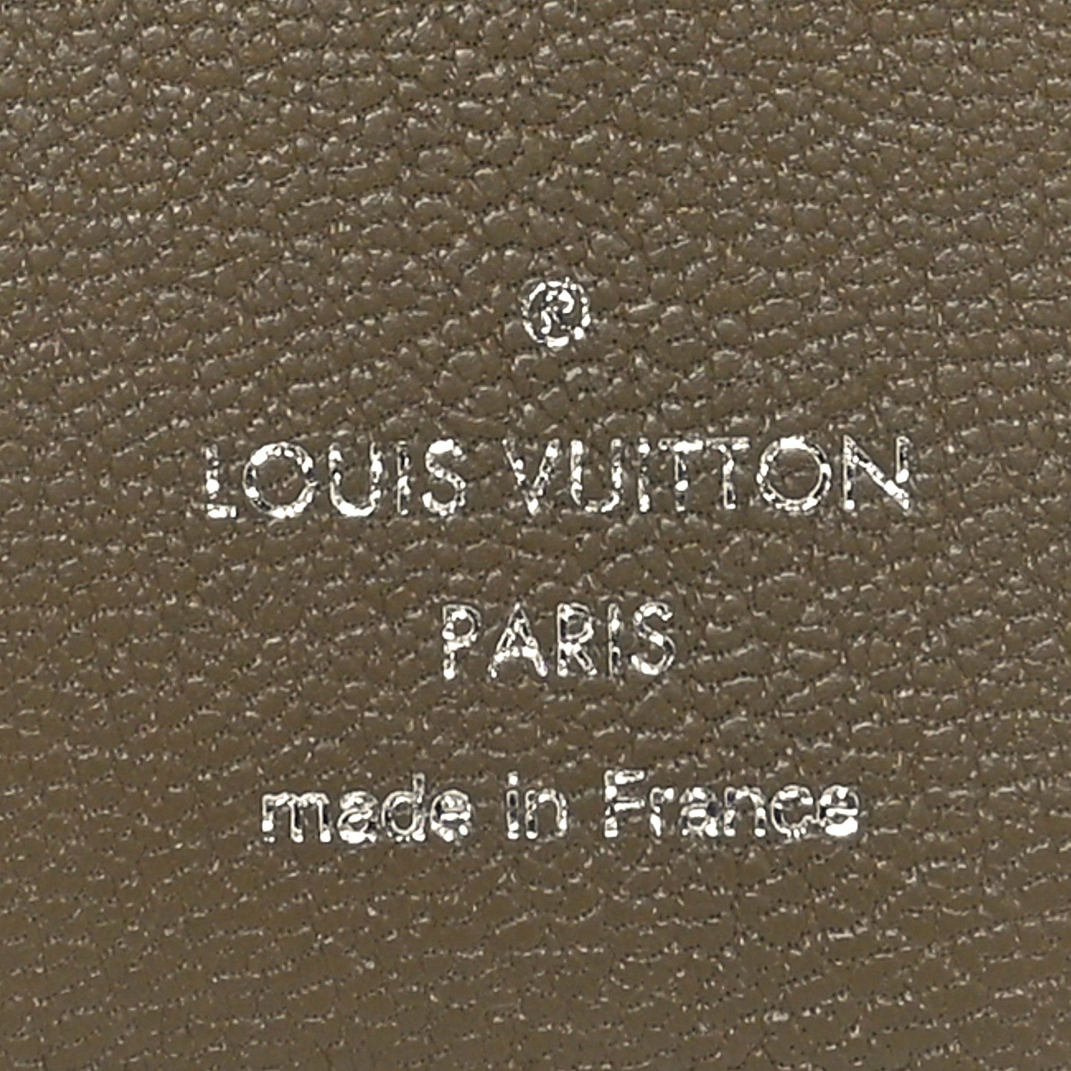 Louis Vuitton Crocodile Pocket Organizer Sage Green 1707663