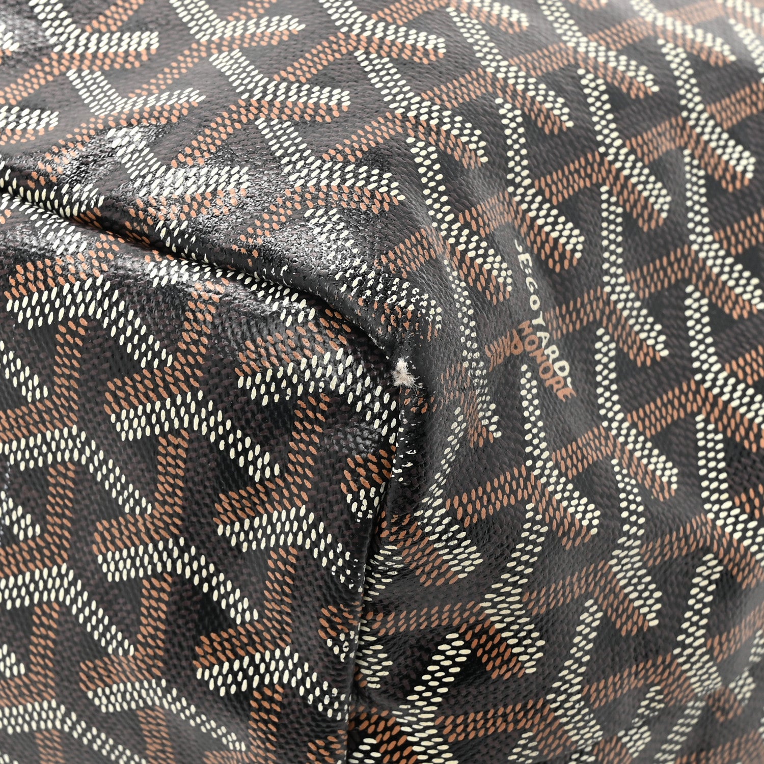 Goyard Goyardine Saint Louis PM Black 16 of 20