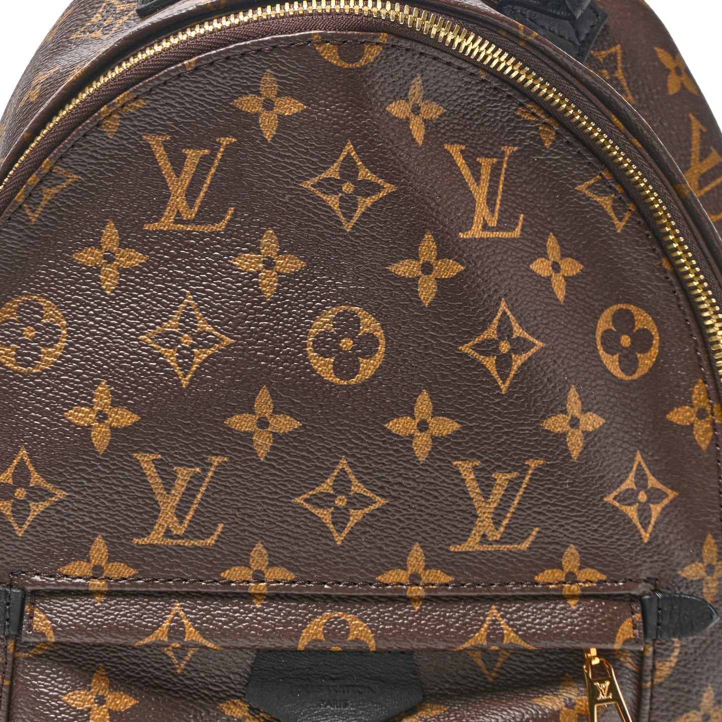 Monogram Palm Springs Backpack PM