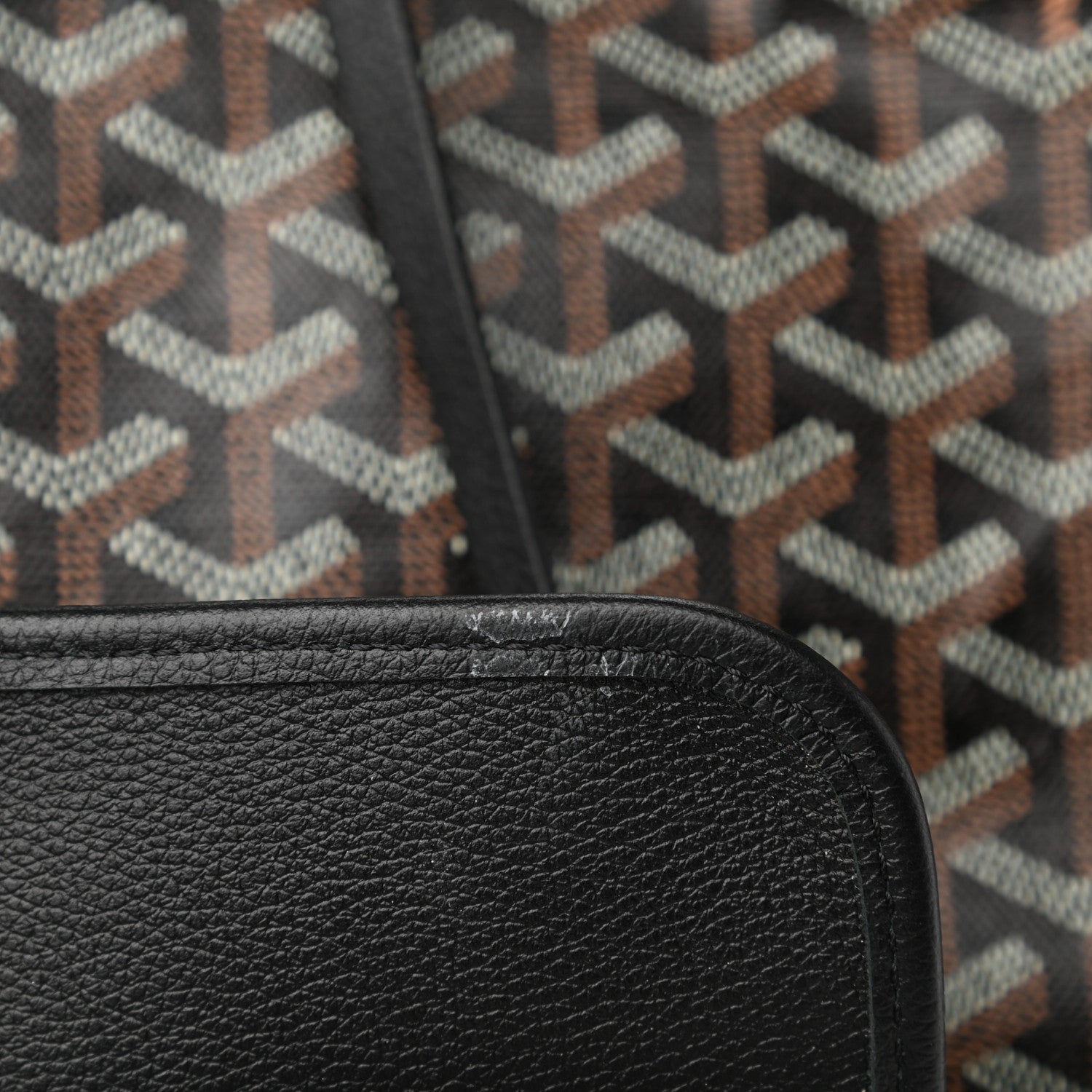 Goyard Goyardine Saint Louis PM Black 12 of 13
