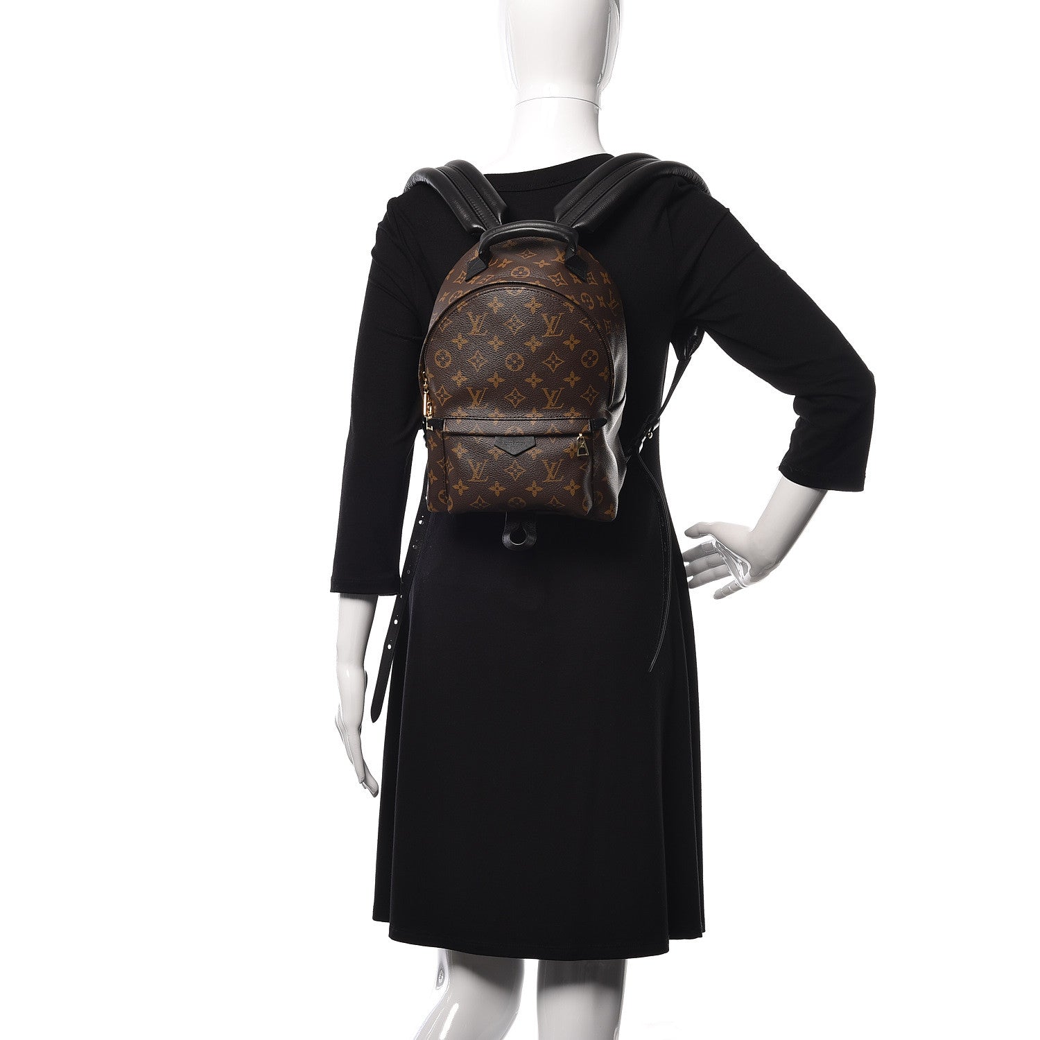 Louis Vuitton Monogram Palm Springs Backpack PM 2 of 11