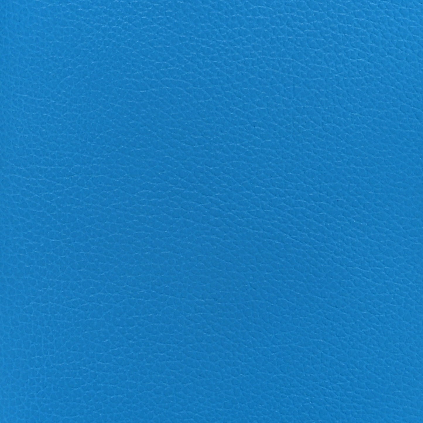 Evercolor MC2 Magellan Passport Holder Bleu Frida