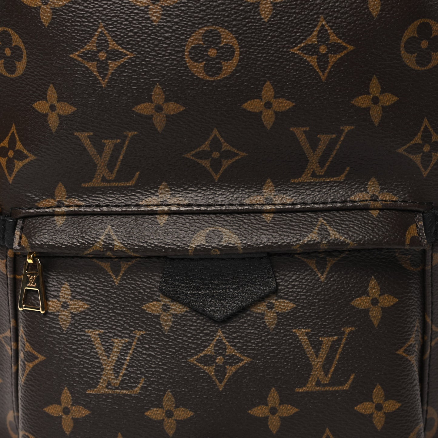 Monogram Palm Springs Backpack PM