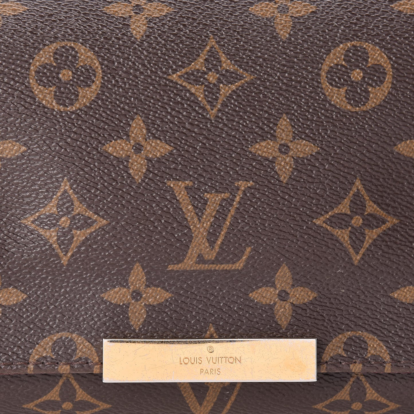 Monogram Favorite PM