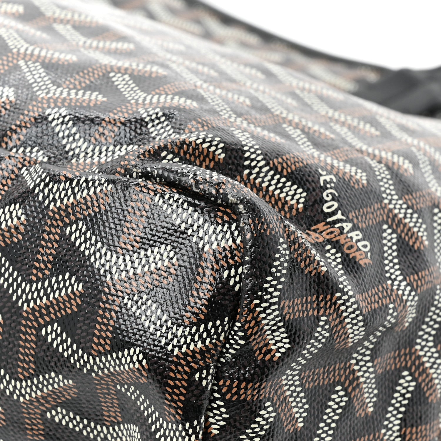 Goyard Goyardine Saint Louis PM Black 19 of 20