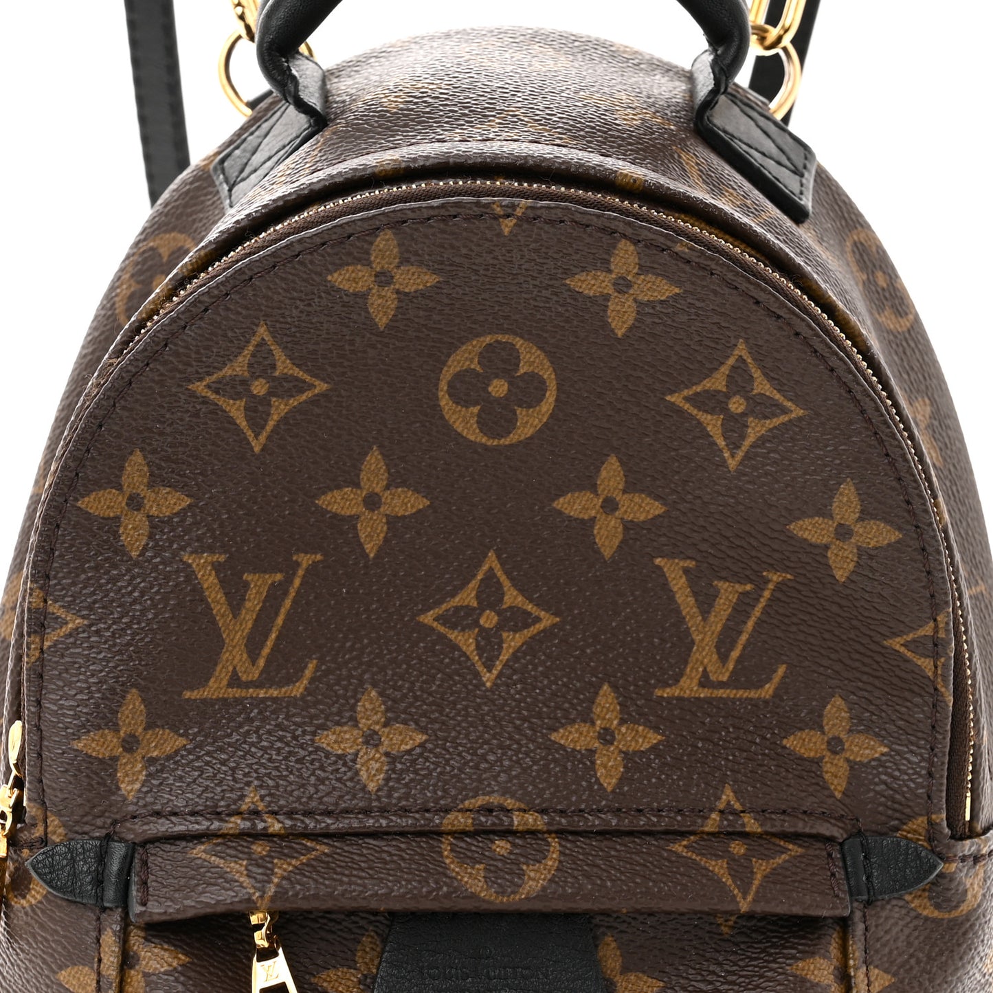 Monogram Palm Springs Backpack Mini