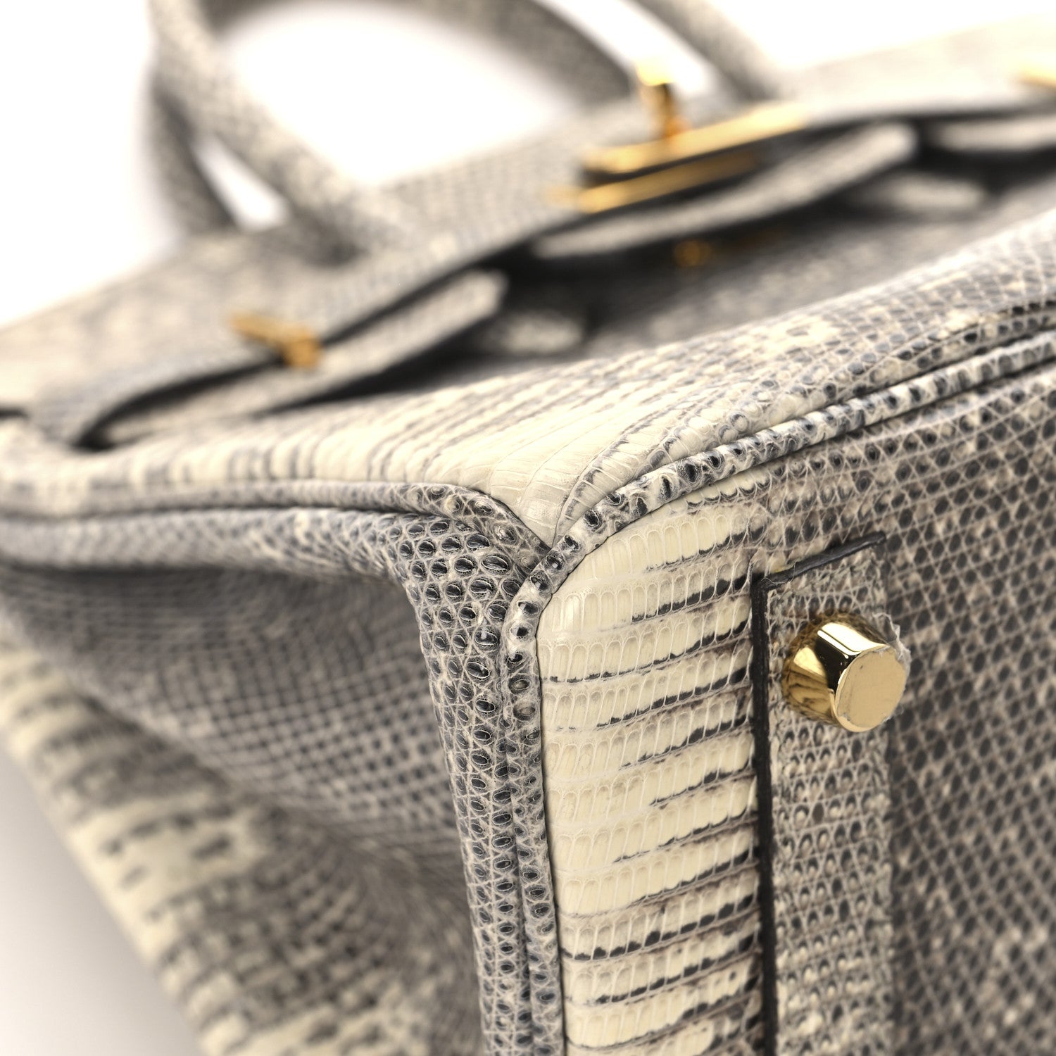Hermes Lizard Birkin 25 Ombre 9 of 13