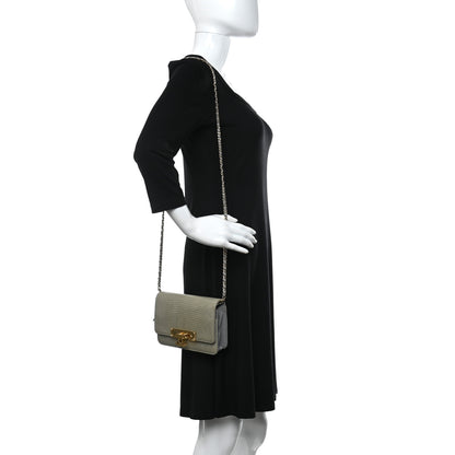 Chanel Lizard Golden Class Wallet on Chain WOC Grey 2 of 12