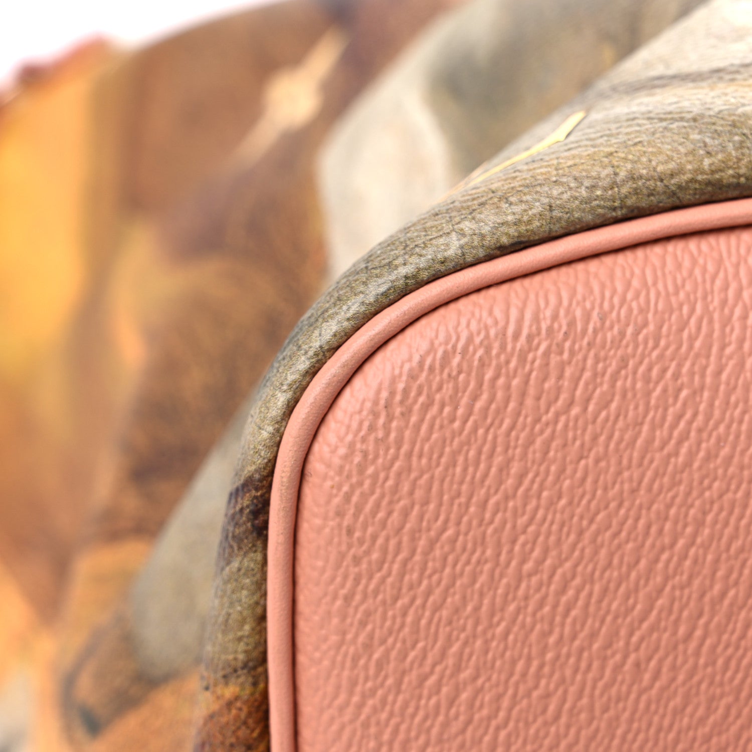 Louis Vuitton Masters Fragonard Neverfull MM 14 of 15