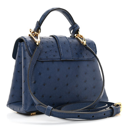 Louis Vuitton Ostrich Rose Des Vents Mini Indigo 3 of 7