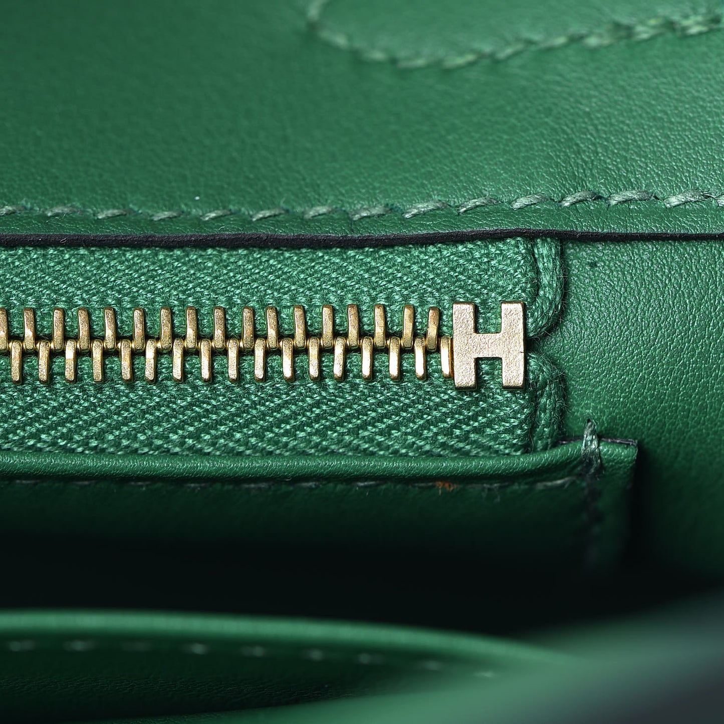 Swift Birkin 25 Cactus