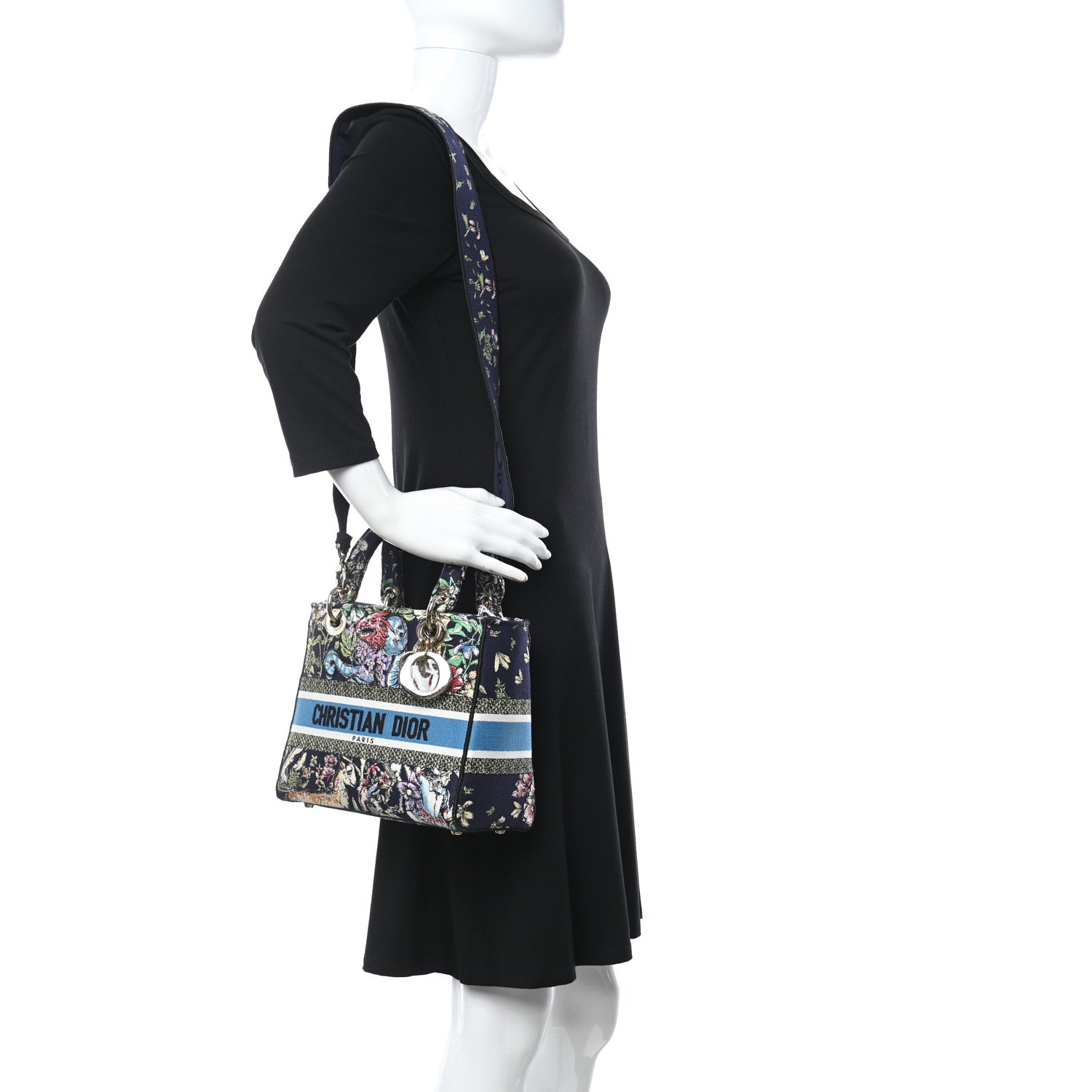 Christian Dior Canvas D-Constellation Embroidered Medium Lady D-Lite Bleu Multicolor 2 of 8