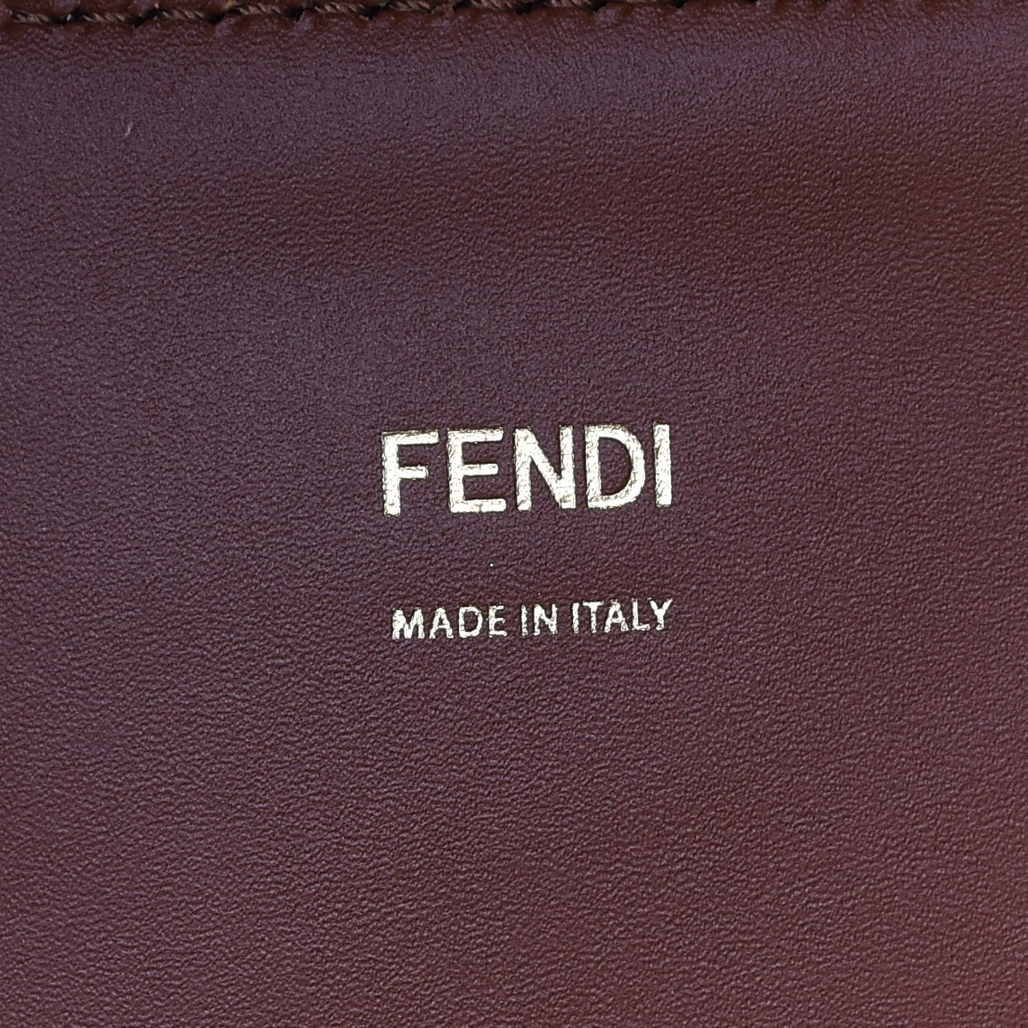 Fendi Vitello King Plexiglass Medium Fendi Sunshine Shopper Tote Cuoio 6 of 9