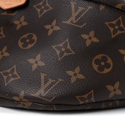 Louis Vuitton Monogram Bumbag 8 of 18