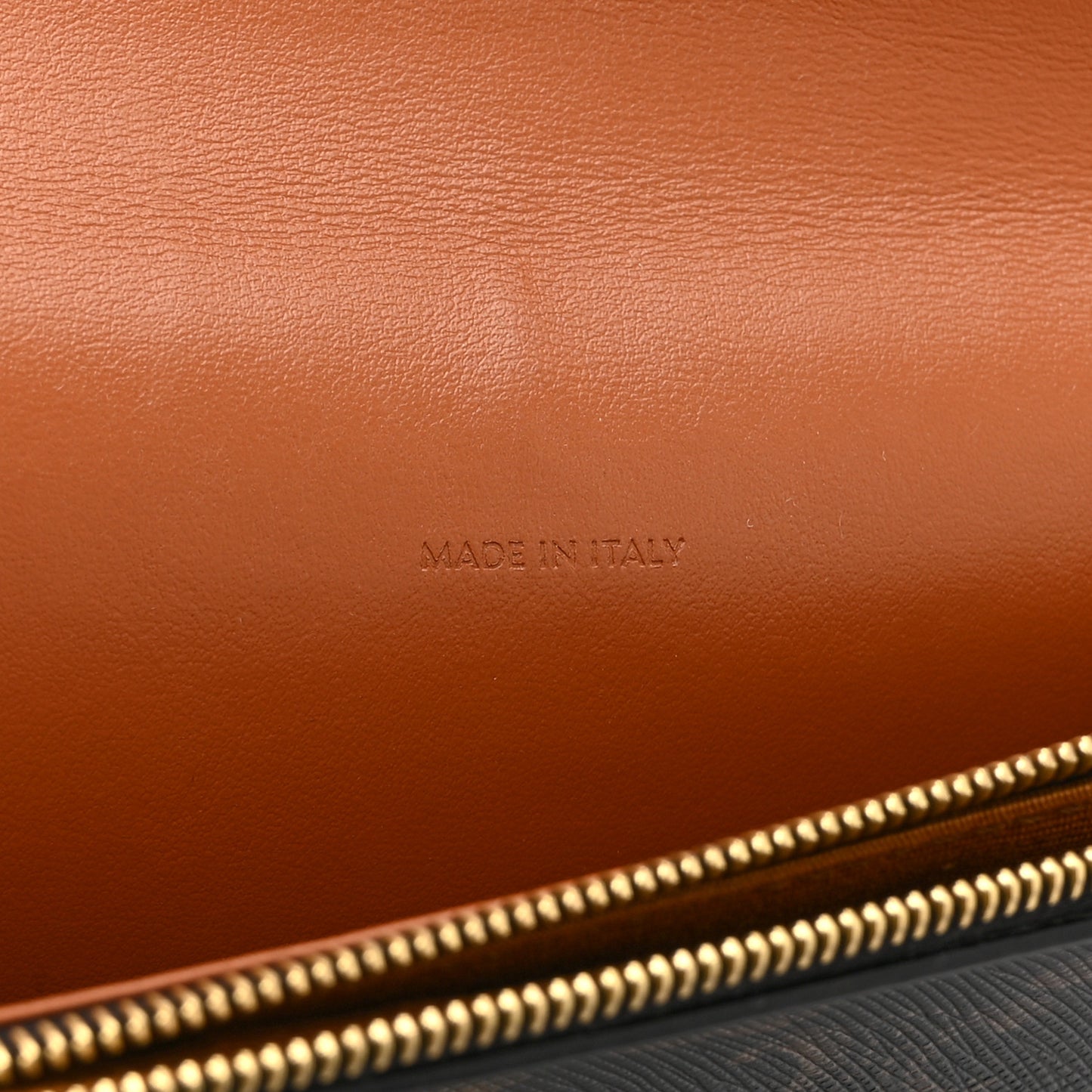 Triomphe Canvas Lambskin Wallet On Strap Tan