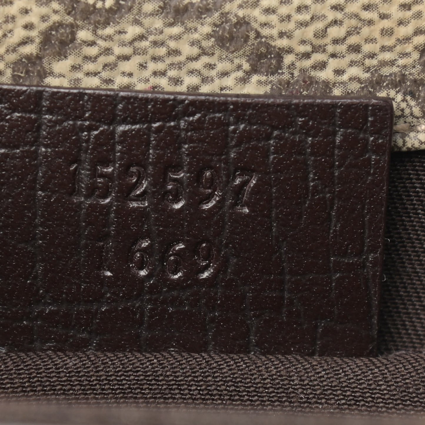 GG Monogram Plus Web Belt Bag Dark Brown