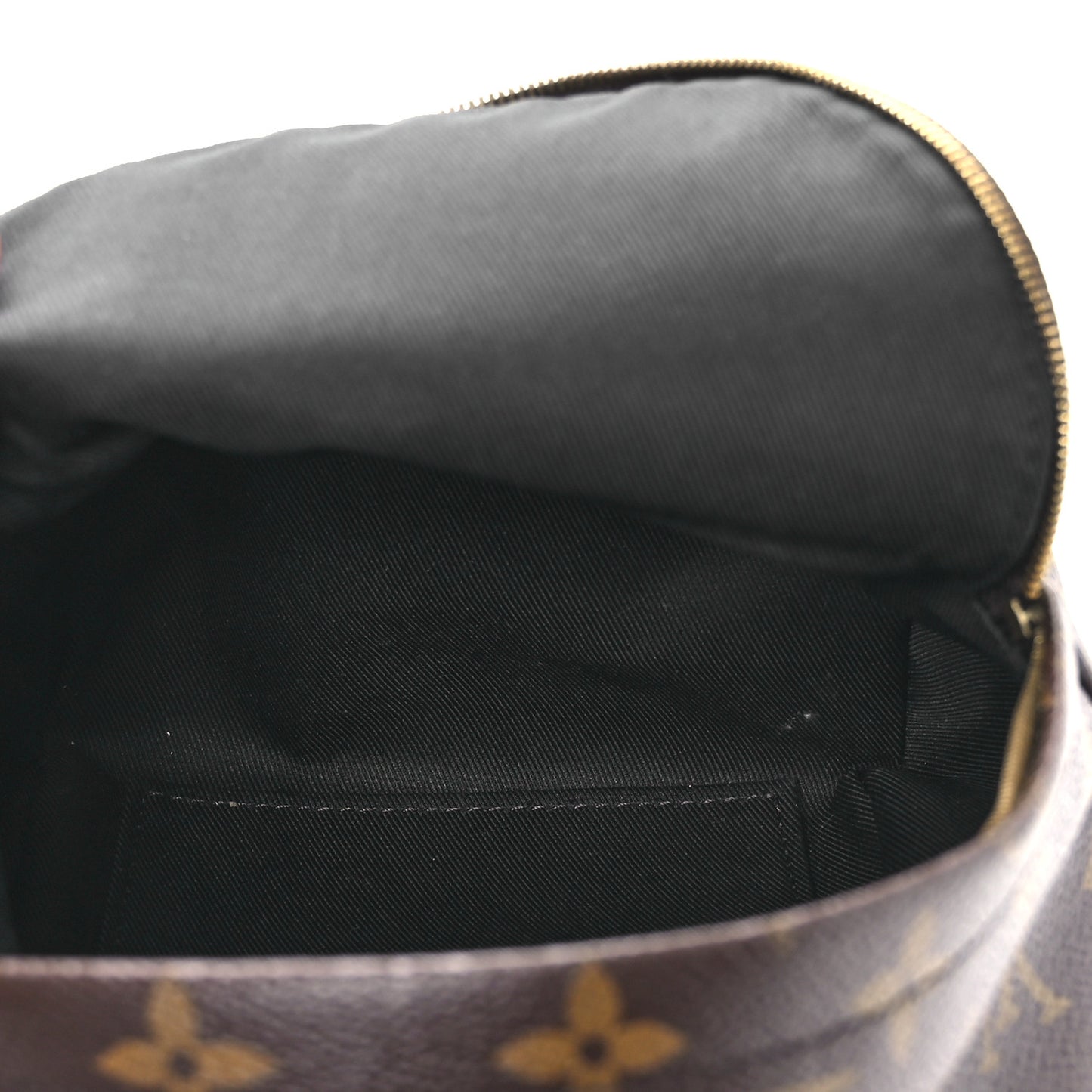 Monogram Palm Springs Backpack Mini